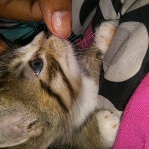 Meet your Posher, Amiah